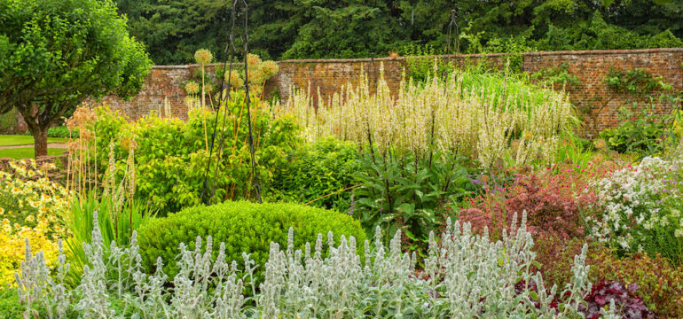 Colorful rain garden created to catch rain runoff.