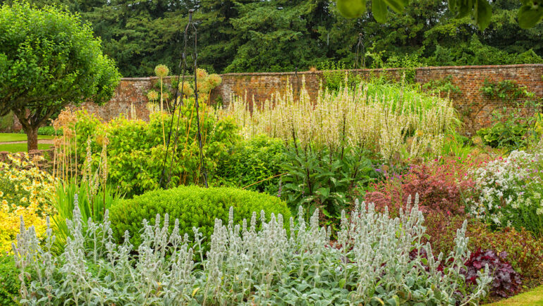 Colorful rain garden created to catch rain runoff.