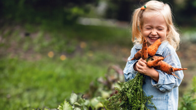 Adorable toddler smiling blonde girl holding carrots in domestic garden. Healthy organic gardening with kids.