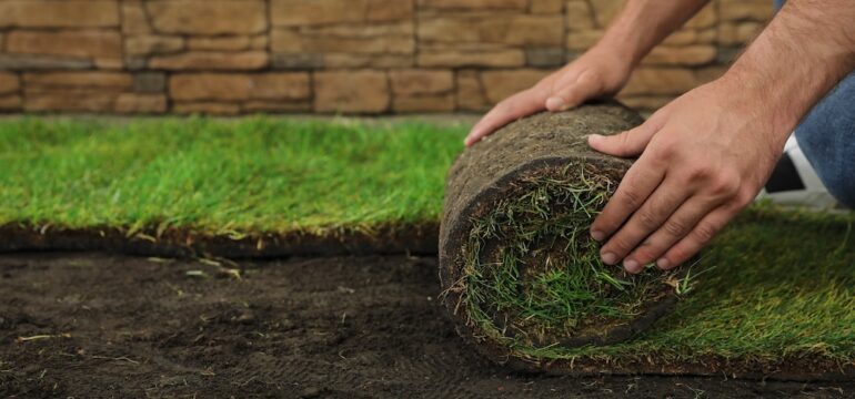 Young man laying sod on ground at backyard, closeup.